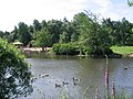 Golden Acre Park, Lake