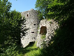 28.6.15 Ruine Ratzenried