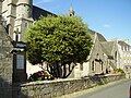 Roscoff : le côté sud de l'église paroissiale 1