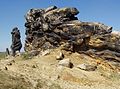 »Devils wall« north of Harz, a mountain range in northern Germany