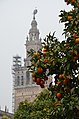 Sevilla