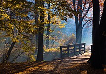 #7: Heritage castle park in Pszczyna, Poland.