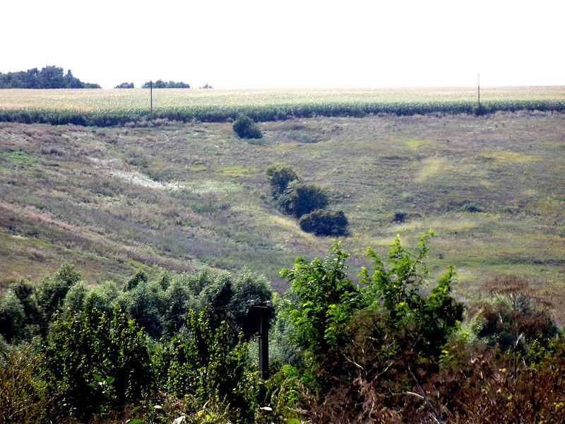 File:Братское - panoramio.jpg