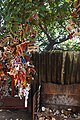 Koneshwarama Temple.- Arbre à souhaits avec ses berceaux miniatures (2)