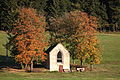 wikimedia_commons=File:Steinheid-Limbach-Grabkapelle.jpg