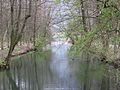 fiume Cherio alla confluenza con il lago