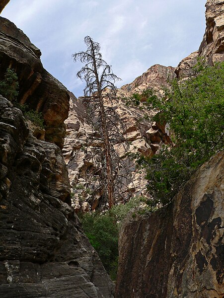 File:Icebox Canyon 2.jpg