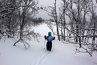 2 year old skiing in Nordland, Norway