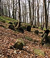 Jewish cemetery in Będzin