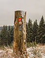 Krenkeltal Rothaarsteig in Sauerland. Markering wandelroute.