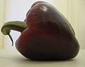 Purple bell pepper