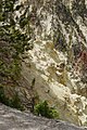 Yellow rocks in Grand Canyon of the Yellowstone