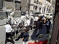 Carrozza matrimoniale / Wedding cart.