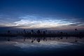 Noctilucent clouds, Kuresoo bog, Soomaa National Park