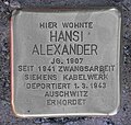 image=https://commons.wikimedia.org/wiki/File:Stolperstein_Gritznerstr_41_(Stegl)_Hansi_Alexander.jpg