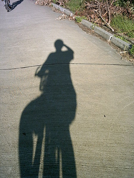 File:Cyclist Shadow.jpg