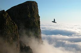 Beinisvørð, 470 m high.