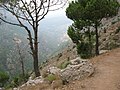 Road to the Monastery of Qozhaya