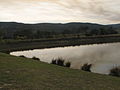 Thumbnail for File:Roundstone in Yarra Valley (500822357).jpg