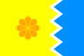 Flag of Viña del Mar