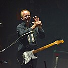 Phil Manzanera -  Bild