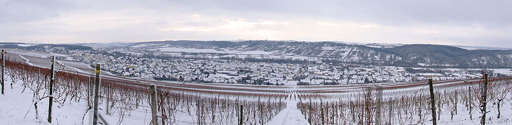 aus den Weinbergen