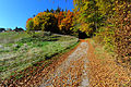 English: Hiking trail to Mount Ulrich Deutsch: Wanderweg auf den Ulrichsberg