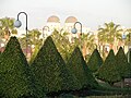 a garden in downtown.