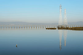 Palo Alto Baylands January 2013 001