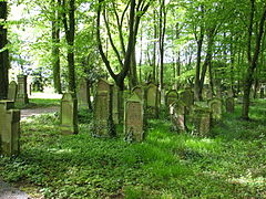 26.6.15 Jüdischer Friedhof Obergrombach