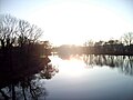 Blick auf die Saale von der Rabeninsel.