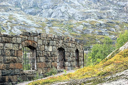 Iron Ore Line Photograph: Fjallvaxter.och.norrsken