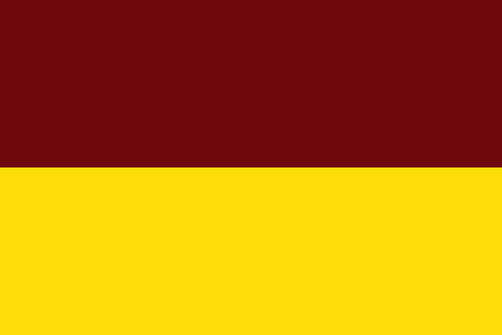 File:Flag of Tolima.svg