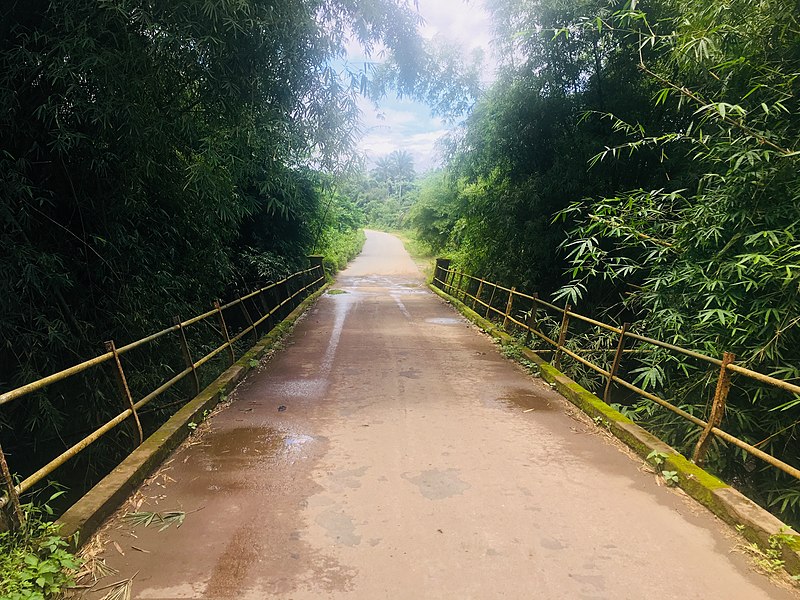 File:The Lonely bridge Ipetumodu Osun State Nigeria.jpg