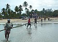 Trinquemalay, retour des pêcheurs au Sri-Lanka (11)