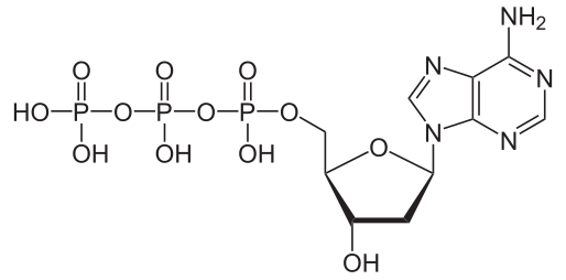 File:Desoxyadenosintriphosphat protoniert.svg