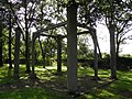 Plourin : colonnes de justice (piliers de justice ou fourches patibulaires) des seigneurs de Kergroadez 6.