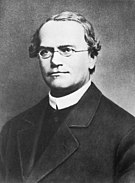 Gregor Mendel -  Bild