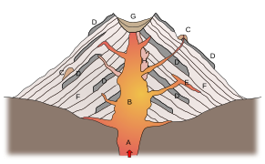 Cross section