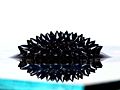 Thumbnail for File:Ferrofluid large spikes.jpg