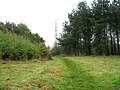 Thumbnail for File:TV mast, Oldham Edge - geograph.org.uk - 4207401.jpg