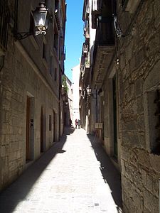 Català: Carrer de la Força (antiga Via Augusta). Italiano: Carrer de la Força (l'antica Via Augusta).