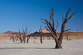 20.4.15 Namib-Skelettküste-Nationalpark