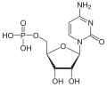 Deutsch: Struktur von Cytidinmonophosphat English: Structure of Cytidine monophosphate