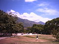 View from Parque del Este