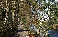 Le chemin de halage du canal de Seclin