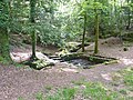 Le site des Trois fontaines, au sud de l'étang du Hénan : vue d'ensemble 1.