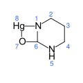 7-Oxa-1,5-diaza-8-mercura-bicyclo(4.2.0)octan