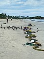 Trinquemalay, retour des pêcheurs au Sri-Lanka (9)