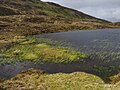 Thumbnail for File:Lochan Coir' Orain - geograph.org.uk - 4519625.jpg